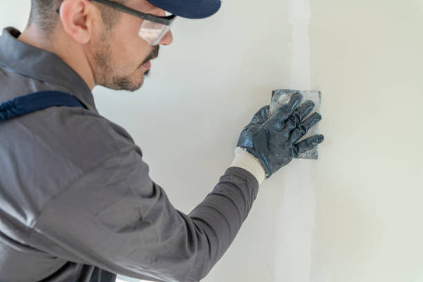 Eco-Friendly and Low-VOC Painting in North Miami Beach, FL